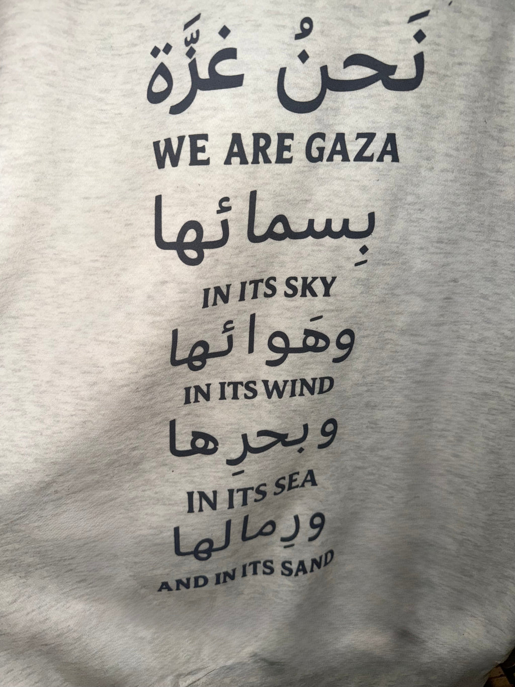 We Are Gaza Oversized Hooded Sweatshirt