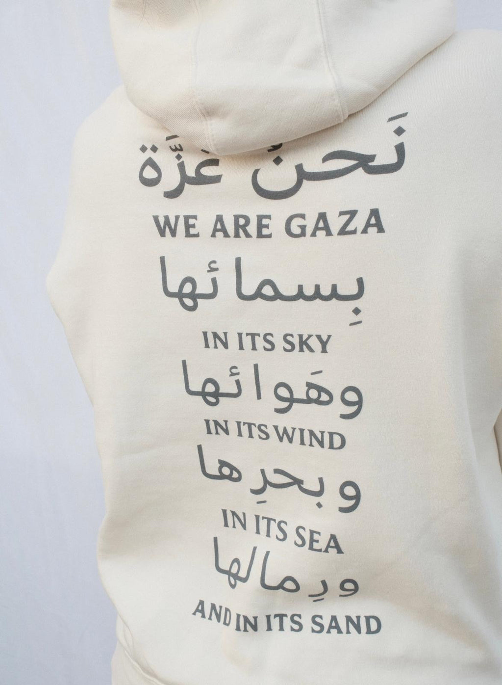 We Are Gaza Oversized Hooded Sweatshirt