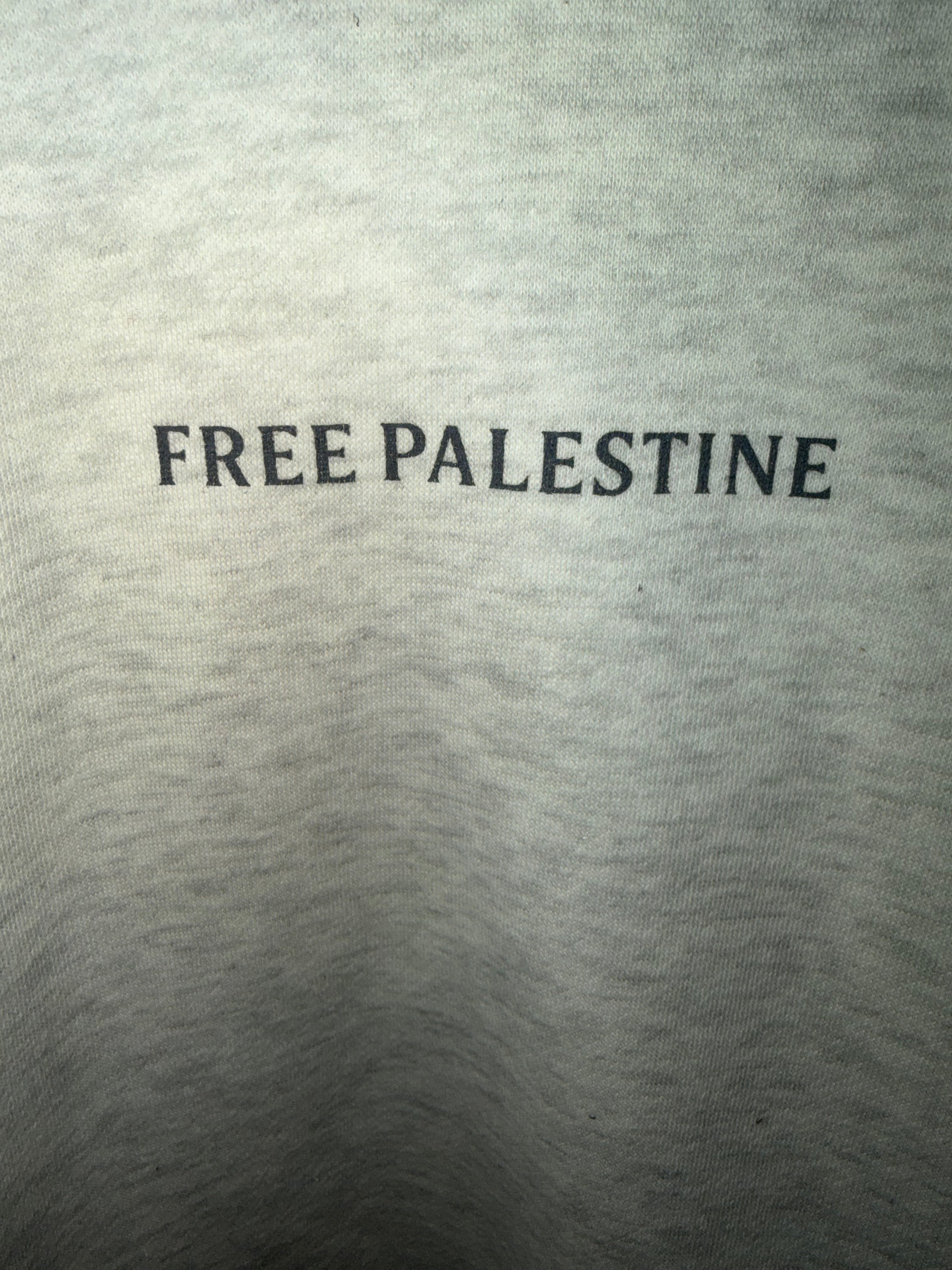 We Are Gaza Oversized Hooded Sweatshirt