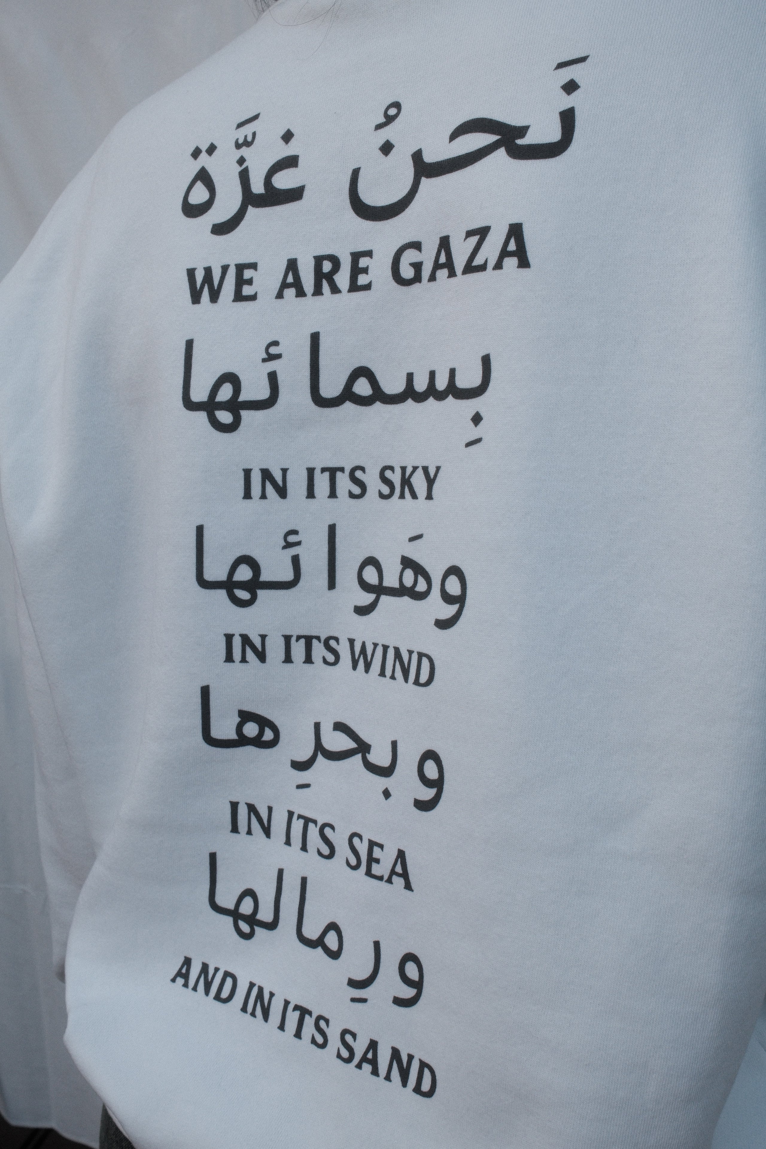 We Are Gaza Oversized Hooded Sweatshirt