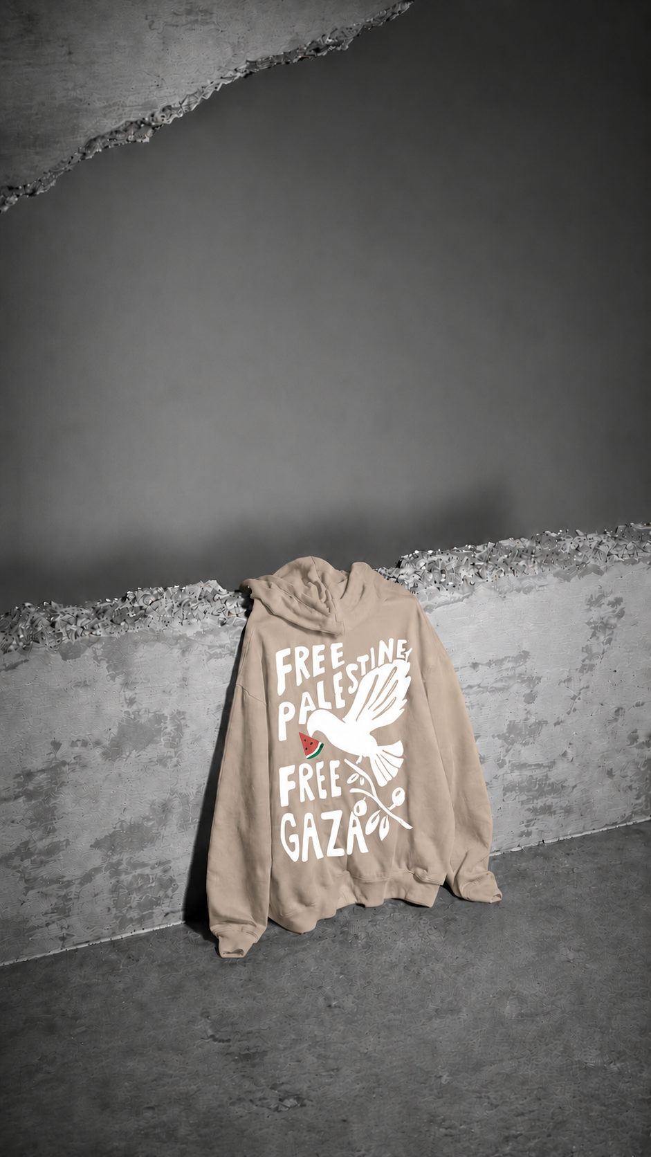 Beyond Borders Oversized Hooded Sweatshirt