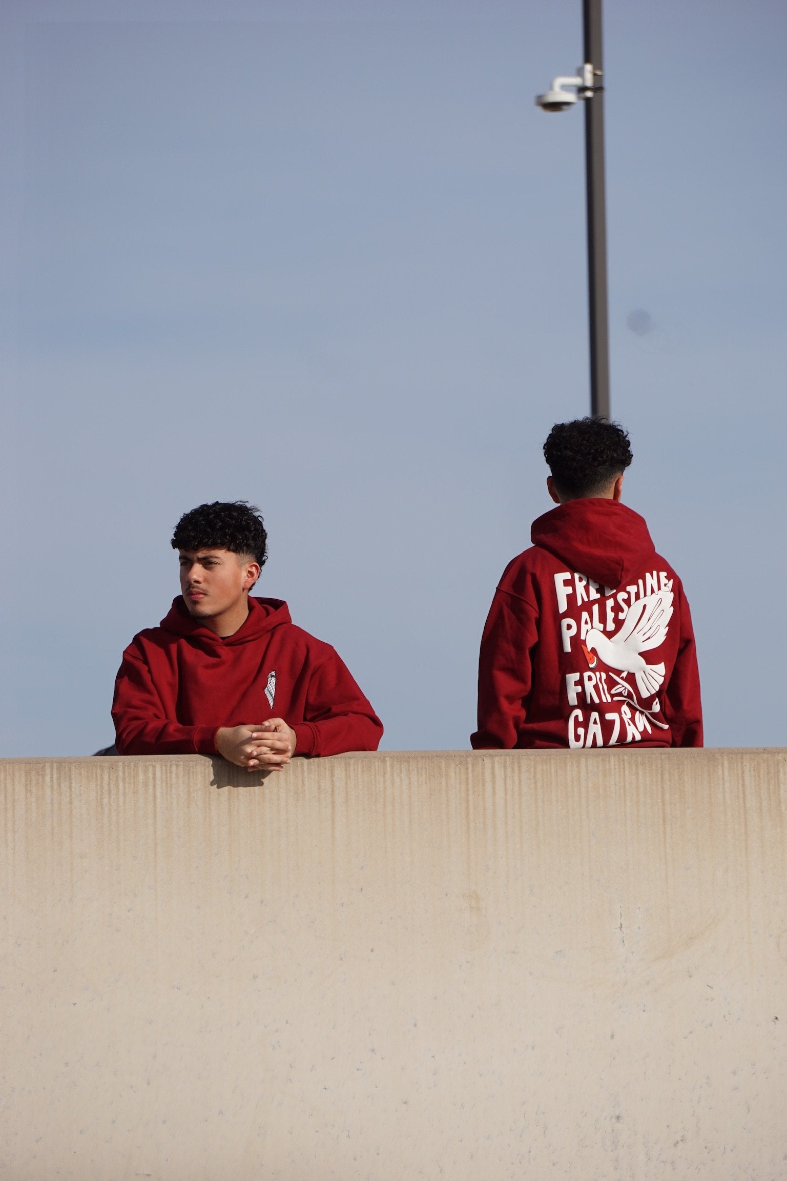 Wings of Hope Oversized Hooded Sweatshirt
