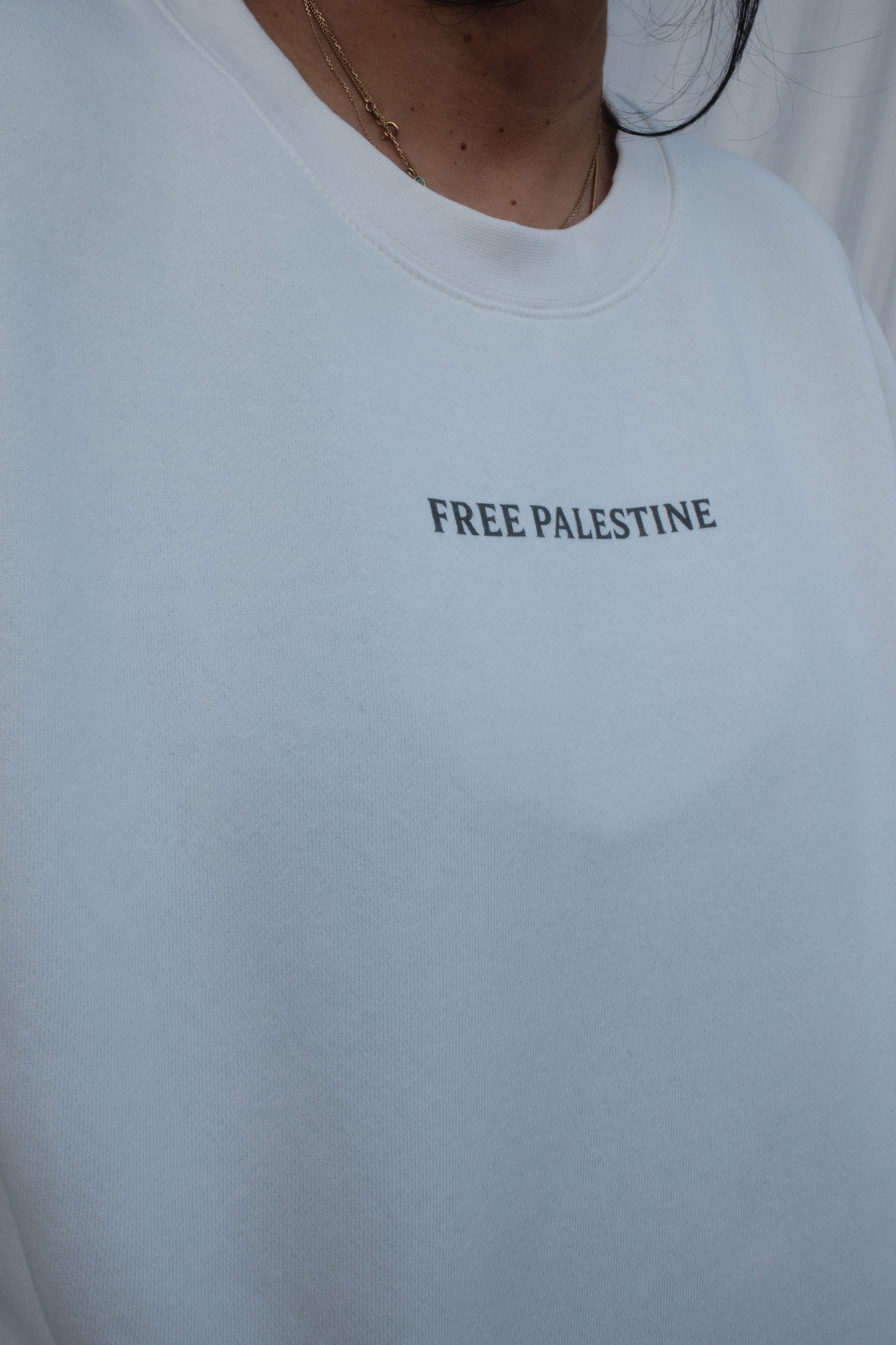 We Are Gaza Oversized Hooded Sweatshirt